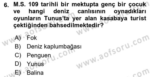 Deniz Turizmi İşletmeciliği Dersi 2023 - 2024 Yılı (Vize) Ara Sınav Soruları 6. Soru