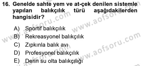 Deniz Turizmi İşletmeciliği Dersi 2023 - 2024 Yılı (Final) Dönem Sonu Sınav Soruları 16. Soru