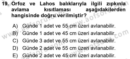 Deniz Turizmi İşletmeciliği Dersi 2023 - 2024 Yılı (Final) Dönem Sonu Sınav Soruları 19. Soru