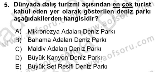 Deniz Turizmi İşletmeciliği Dersi 2023 - 2024 Yılı (Final) Dönem Sonu Sınav Soruları 5. Soru