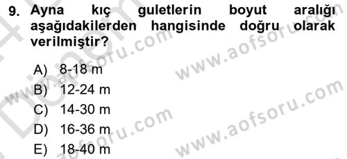 Deniz Turizmi İşletmeciliği Dersi 2023 - 2024 Yılı (Final) Dönem Sonu Sınav Soruları 9. Soru