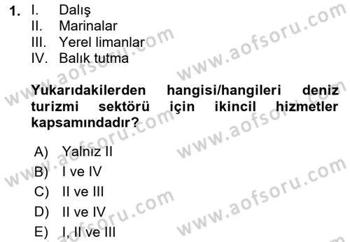 Deniz Turizmi İşletmeciliği Dersi 2023 - 2024 Yılı Yaz Okulu Sınav Soruları 1. Soru