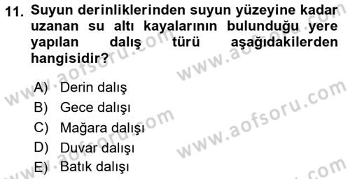 Deniz Turizmi İşletmeciliği Dersi 2023 - 2024 Yılı Yaz Okulu Sınav Soruları 11. Soru