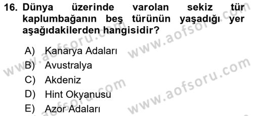 Deniz Turizmi İşletmeciliği Dersi 2023 - 2024 Yılı Yaz Okulu Sınav Soruları 16. Soru
