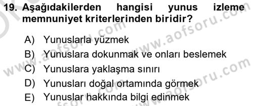 Deniz Turizmi İşletmeciliği Dersi 2023 - 2024 Yılı Yaz Okulu Sınav Soruları 19. Soru