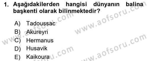Deniz Turizmi İşletmeciliği Dersi 2024 - 2025 Yılı (Final) Dönem Sonu Sınav Soruları 1. Soru