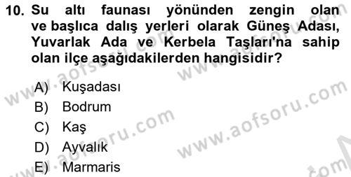 Deniz Turizmi İşletmeciliği Dersi 2024 - 2025 Yılı (Final) Dönem Sonu Sınav Soruları 10. Soru