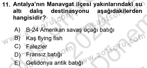 Deniz Turizmi İşletmeciliği Dersi 2024 - 2025 Yılı (Final) Dönem Sonu Sınav Soruları 11. Soru