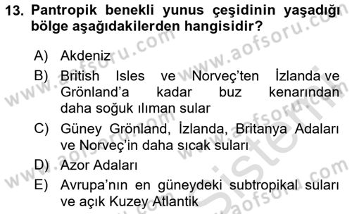 Deniz Turizmi İşletmeciliği Dersi 2024 - 2025 Yılı (Final) Dönem Sonu Sınav Soruları 13. Soru