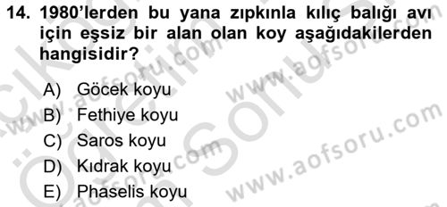 Deniz Turizmi İşletmeciliği Dersi 2024 - 2025 Yılı (Final) Dönem Sonu Sınav Soruları 14. Soru