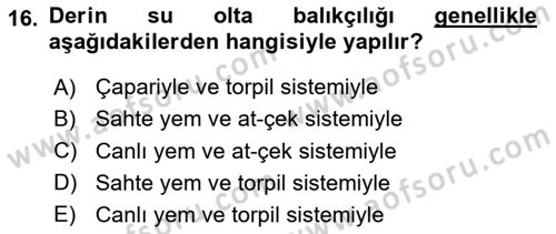 Deniz Turizmi İşletmeciliği Dersi 2024 - 2025 Yılı (Final) Dönem Sonu Sınav Soruları 16. Soru