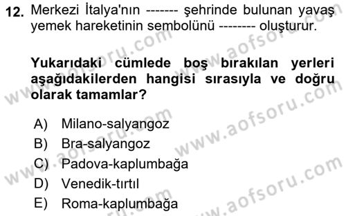 Turizmde Güncel Yaklaşımlar Dersi 2023 - 2024 Yılı Yaz Okulu Sınav Soruları 12. Soru