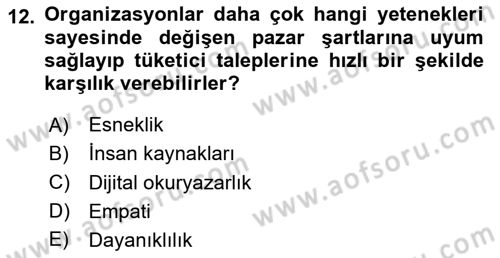 Turizmde Güncel Yaklaşımlar Dersi Ara Sınavı Deneme Sınav Soruları 12. Soru