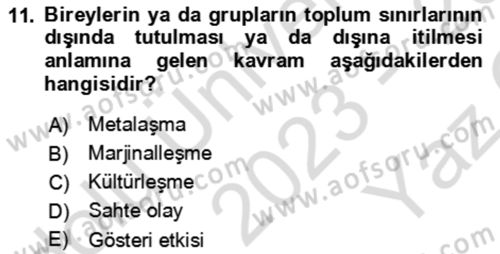 Toplum Temelli Turizm Dersi 2023 - 2024 Yılı Yaz Okulu Sınav Soruları 11. Soru