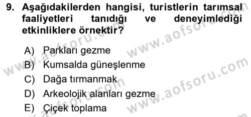 Sürdürülebilir Turizm Dersi 2024 - 2025 Yılı (Vize) Ara Sınav Soruları 9. Soru