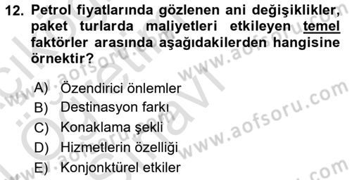 Tur Planlaması ve Yönetimi Dersi 2023 - 2024 Yılı Yaz Okulu Sınav Soruları 12. Soru