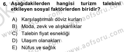 Tur Planlaması ve Yönetimi Dersi 2023 - 2024 Yılı Yaz Okulu Sınav Soruları 6. Soru