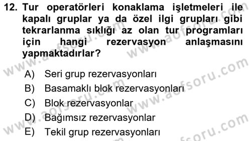 Tur Planlaması ve Yönetimi Dersi 2024 - 2025 Yılı (Vize) Ara Sınav Soruları 12. Soru