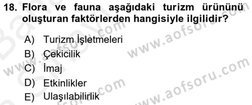 Alternatif Turizm Dersi 2015 - 2016 Yılı (Vize) Ara Sınav Soruları 18. Soru