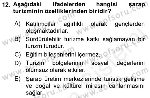 Alternatif Turizm Dersi 2018 - 2019 Yılı (Vize) Ara Sınav Soruları 12. Soru
