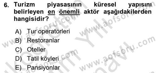 Alternatif Turizm Dersi 2023 - 2024 Yılı (Vize) Ara Sınav Soruları 6. Soru