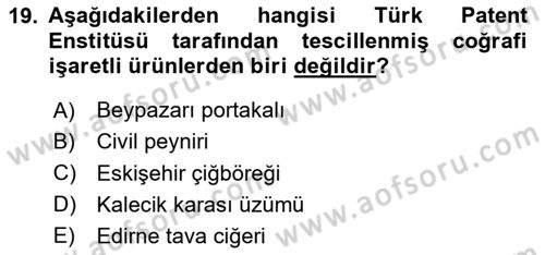Alternatif Turizm Dersi 2023 - 2024 Yılı Yaz Okulu Sınav Soruları 19. Soru