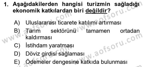 Alternatif Turizm Dersi 2024 - 2025 Yılı (Final) Dönem Sonu Sınav Soruları 1. Soru