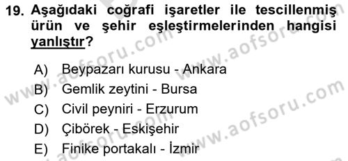 Alternatif Turizm Dersi 2024 - 2025 Yılı (Final) Dönem Sonu Sınav Soruları 19. Soru