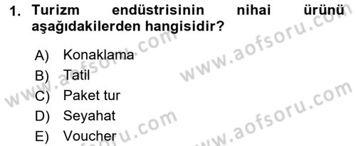 Seyahat Acentacılığı ve Tur Operatörlüğü Dersi 2016 - 2017 Yılı (Vize) Ara Sınav Soruları 1. Soru