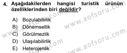 Seyahat Acentacılığı ve Tur Operatörlüğü Dersi Ara Sınavı Deneme Sınav Soruları 4. Soru