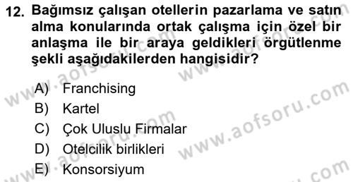 Seyahat Acentacılığı ve Tur Operatörlüğü Dersi Ara Sınavı Deneme Sınav Soruları 12. Soru