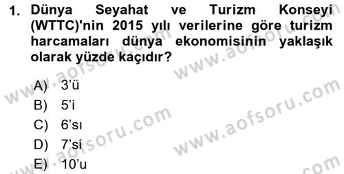 Seyahat Acentacılığı ve Tur Operatörlüğü Dersi 2019 - 2020 Yılı (Vize) Ara Sınav Soruları 1. Soru