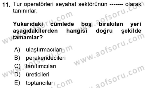 Seyahat Acentacılığı ve Tur Operatörlüğü Dersi Ara Sınavı Deneme Sınav Soruları 11. Soru