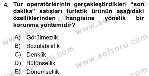 Seyahat Acentacılığı ve Tur Operatörlüğü Dersi Ara Sınavı Deneme Sınav Soruları 4. Soru