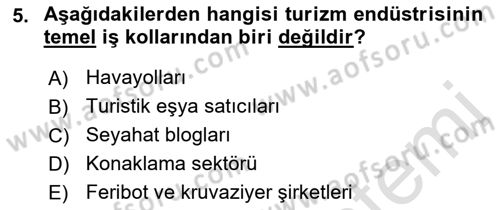 Seyahat Acentacılığı ve Tur Operatörlüğü Dersi Ara Sınavı Deneme Sınav Soruları 5. Soru