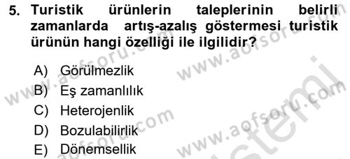Seyahat Acentacılığı ve Tur Operatörlüğü Dersi 2021 - 2022 Yılı (Vize) Ara Sınav Soruları 5. Soru