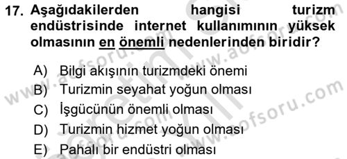 Seyahat Acentacılığı ve Tur Operatörlüğü Dersi 2021 - 2022 Yılı Yaz Okulu Sınav Soruları 17. Soru