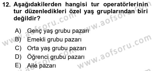 Seyahat Acentacılığı ve Tur Operatörlüğü Dersi 2022 - 2023 Yılı (Vize) Ara Sınav Soruları 12. Soru