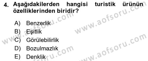 Seyahat Acentacılığı ve Tur Operatörlüğü Dersi 2022 - 2023 Yılı (Vize) Ara Sınav Soruları 4. Soru