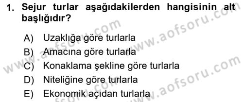 Seyahat Acentacılığı ve Tur Operatörlüğü Dersi 2022 - 2023 Yılı Yaz Okulu Sınav Soruları 1. Soru
