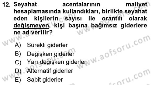 Seyahat Acentacılığı ve Tur Operatörlüğü Dersi 2022 - 2023 Yılı Yaz Okulu Sınav Soruları 12. Soru
