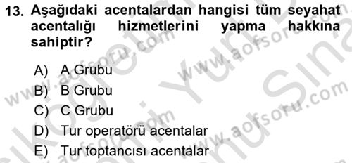 Seyahat Acentacılığı ve Tur Operatörlüğü Dersi 2023 - 2024 Yılı (Final) Dönem Sonu Sınavı 13. Soru