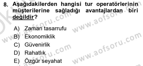 Seyahat Acentacılığı ve Tur Operatörlüğü Dersi 2023 - 2024 Yılı Yaz Okulu Sınav Soruları 8. Soru