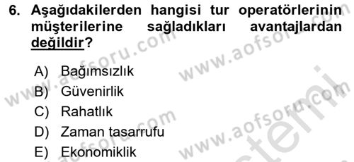 Seyahat Acentacılığı ve Tur Operatörlüğü Dersi 2024 - 2025 Yılı (Final) Dönem Sonu Sınav Soruları 6. Soru