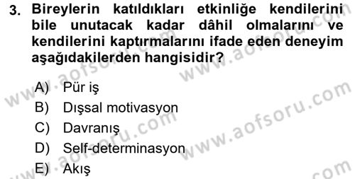 Rekreasyon Yönetimi Dersi 2016 - 2017 Yılı (Final) Dönem Sonu Sınav Soruları 3. Soru