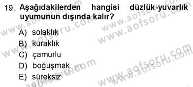 Türk Dili 1 Dersi 2012 - 2013 Yılı (Vize) Ara Sınav Soruları 19. Soru
