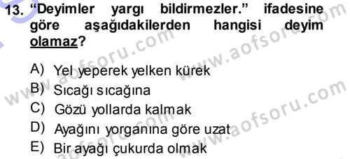 Türk Dili 1 Dersi 2013 - 2014 Yılı (Final) Dönem Sonu Sınav Soruları 13. Soru