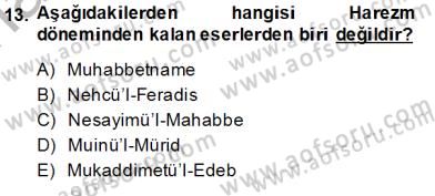 Türk Dili 1 Dersi 2014 - 2015 Yılı (Vize) Ara Sınav Soruları 13. Soru