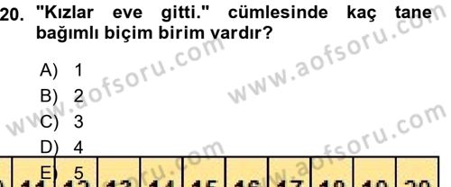 Türk Dili 1 Dersi 2015 - 2016 Yılı (Vize) Ara Sınav Soruları 20. Soru