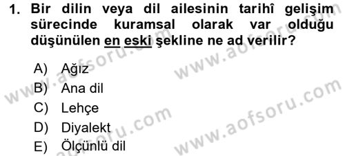 Türk Dili 1 Dersi 2016 - 2017 Yılı 3 Ders Sınav Soruları 1. Soru